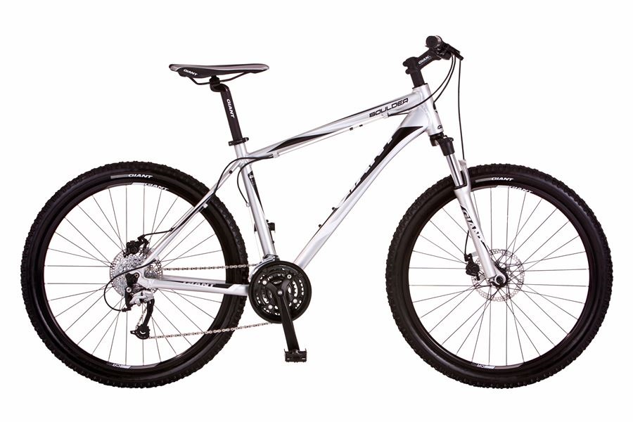 Giant mountain bike stolen from Nicholls Street over on 30 November 