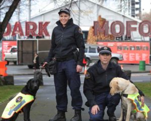 Senior Constable Anne-Marie Bennett with Police Dog Aggie and Senior Constable Jareth Anderson with Police Dog Yardley (retired) (courtesy of The Mercury Newspaper, Hobart)