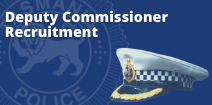 Deputy Commissioner Recruitment Newsbutton
