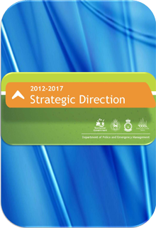 DPEM Strategic Direction 2012-2017 document cover page. 